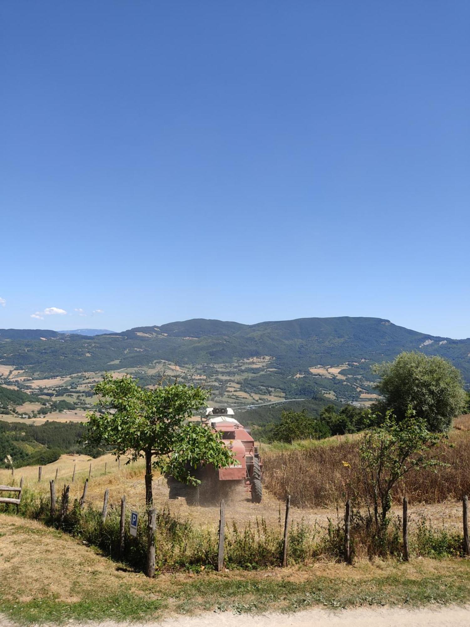 Agriturismo al Monte San Piero in Bagno Exterior foto